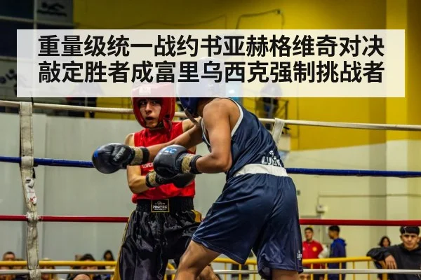 重量级统一战约书亚赫格维奇对决敲定胜者成富里乌西克强制挑战者